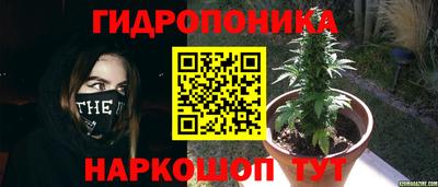 дмт Краснокаменск