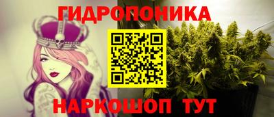jwh Краснодар