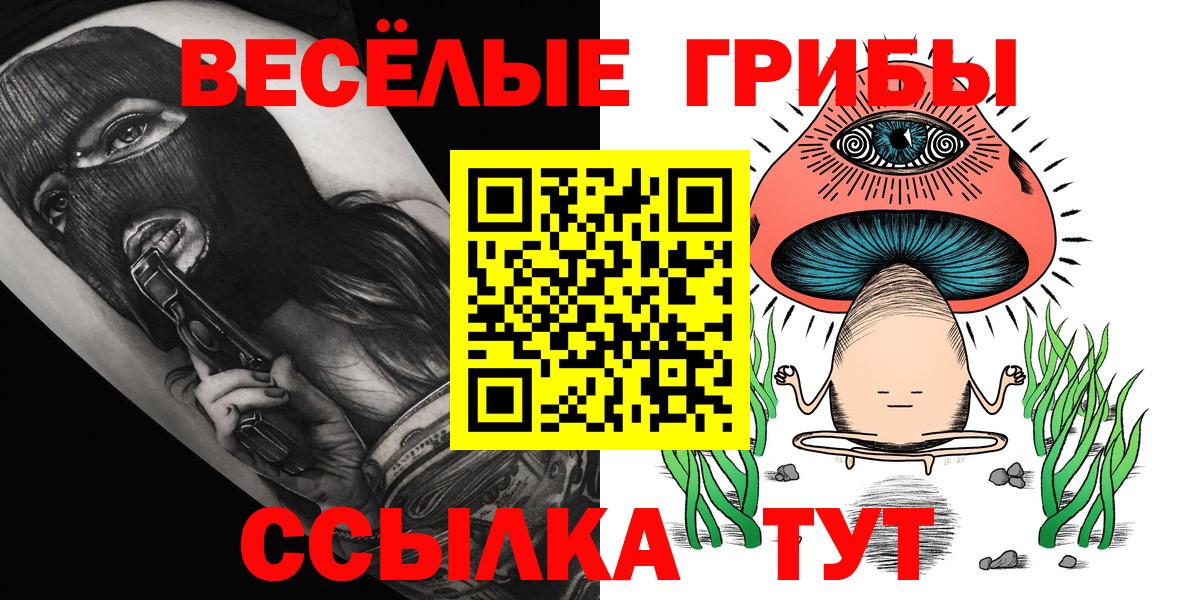Псилоцибиновые грибы GOLDEN TEACHER Керчь