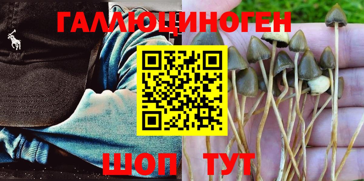 ЭКСТАЗИ Керчь