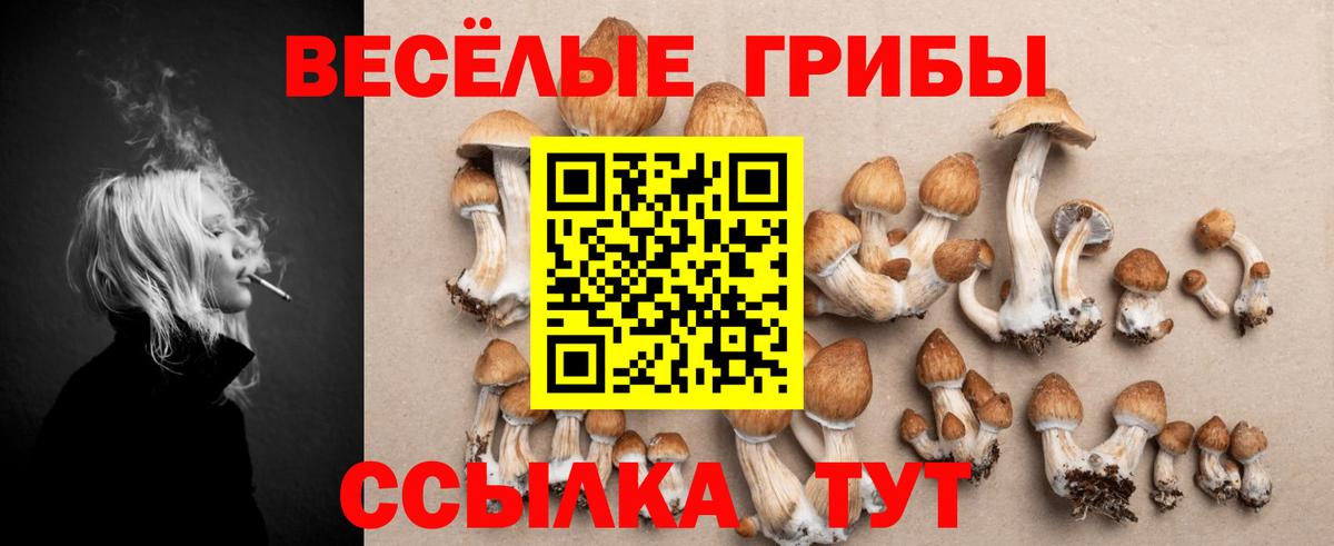 Керчь  Псилоцибиновые грибы мицелий  Вход с VPN 